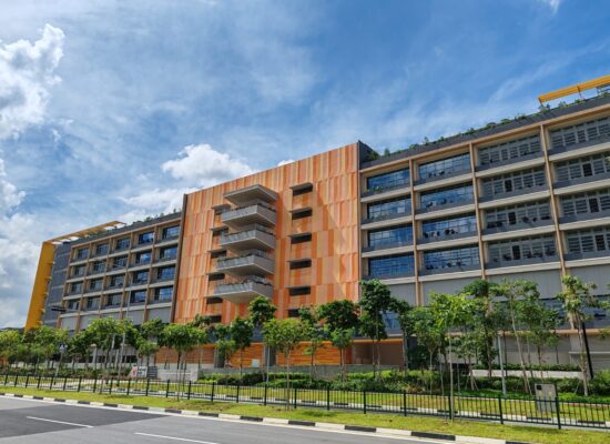 WhatsApp Image 2024-07-08 at 15.15.23 (1)