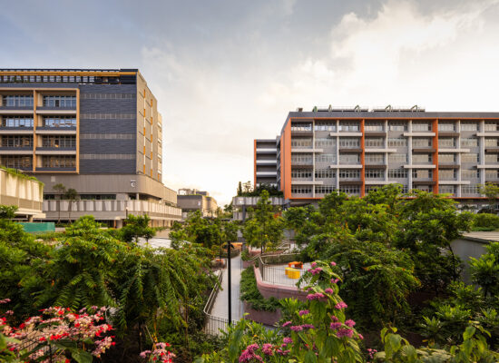 woodlands-health-carousel-1-1